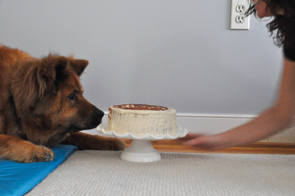 Barkley and caramel cake